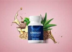 the synogut24
