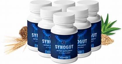 the synogut24 - الصورة 3