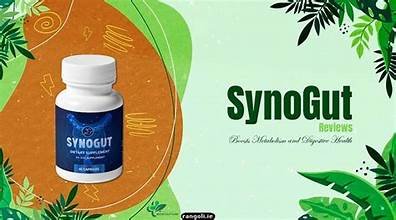 the synogut24 - الصورة 4