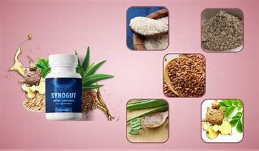 the synogut24 - الصورة 5
