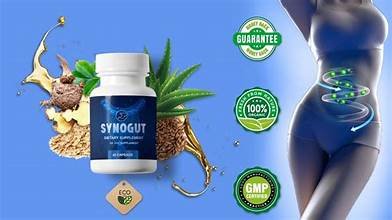 the synogut24 - الصورة 6