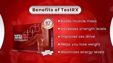 testrx - الصورة 6