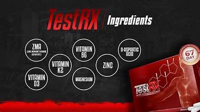testrx - الصورة 7
