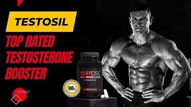 testosil - الصورة 7