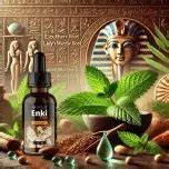 enki elixir