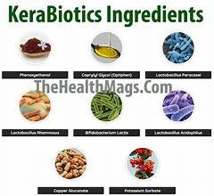 Kerabiotics - الصورة 5