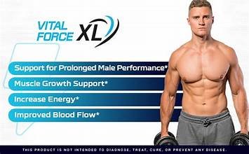 Vital Force - الصورة 9