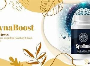 synaboost