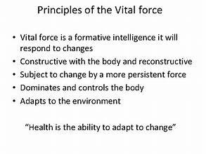 Vital Force - الصورة 4