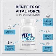 Vital Force - الصورة 2