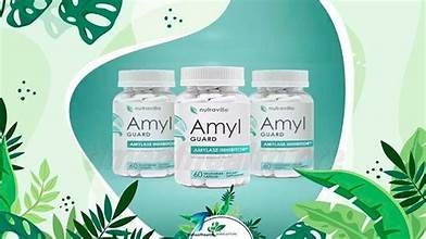 amyl guard - الصورة 9